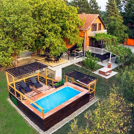 Villa Dijana - Pool, Spa, Outdoor Kitchen Belgrad Zewnętrze zdjęcie