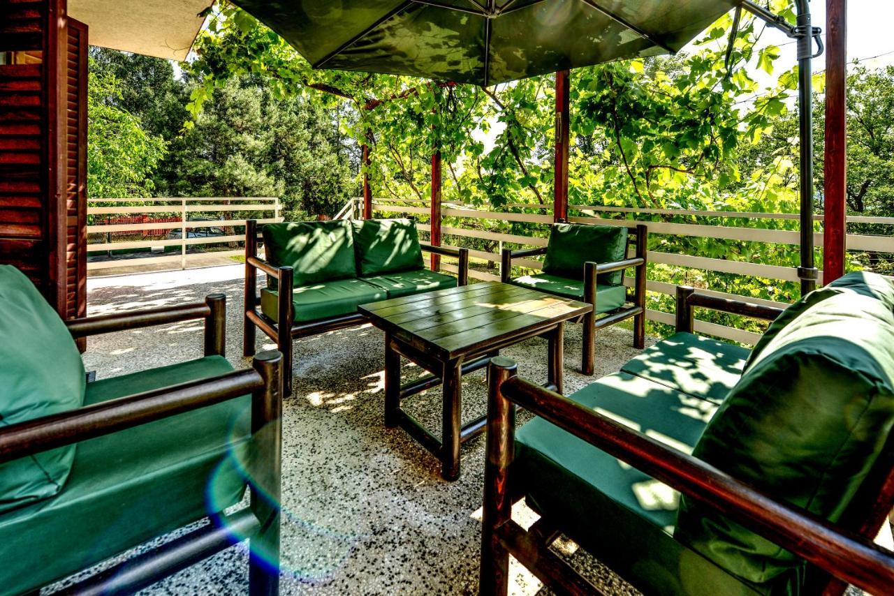 Villa Dijana - Pool, Spa, Outdoor Kitchen Belgrad Zewnętrze zdjęcie